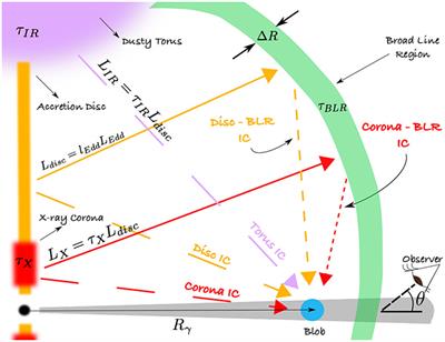 Modeling the Broad-Band Emission from the Gamma-Ray Emitting Narrow-Line Seyfert-1 Galaxies 1H 0323+342 and B2 0954+25A